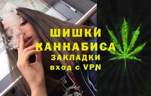 PSILOCYBIN Алзамай