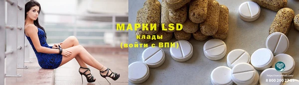 PSILOCYBIN Алзамай