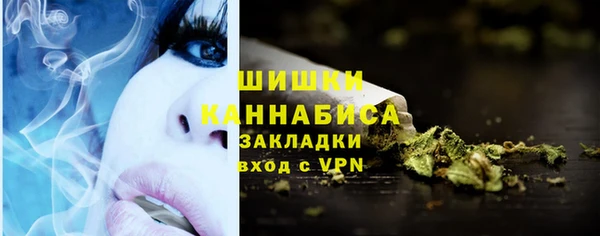 PSILOCYBIN Алзамай