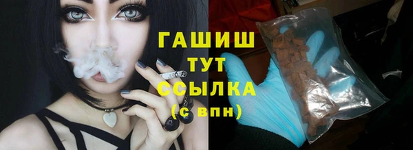 PSILOCYBIN Алзамай
