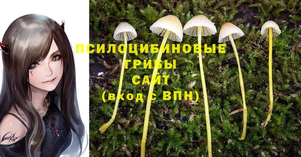 MDMA Алексин
