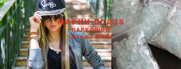 PSILOCYBIN Алзамай