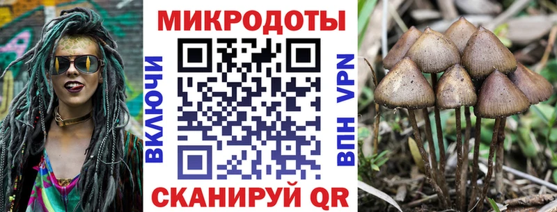 Галлюциногенные грибы прущие грибы  Карачев 